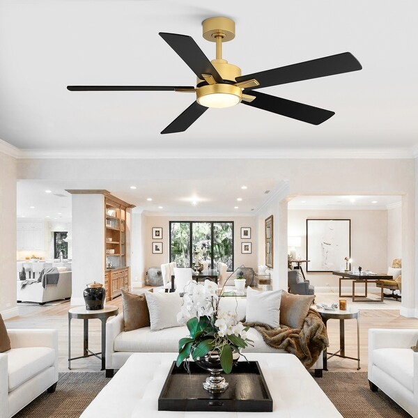 Ceiling fan with color changing light outlet