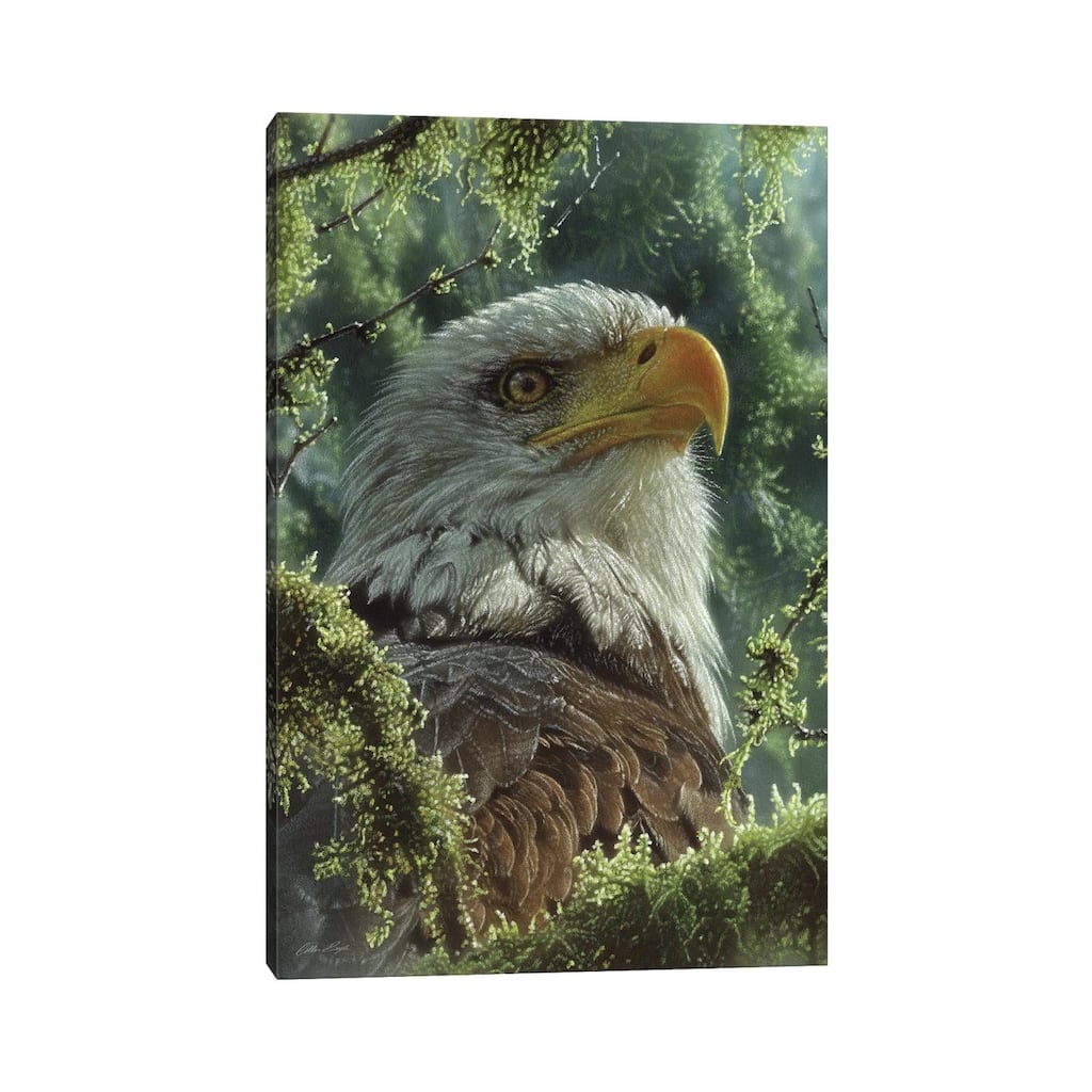 iCanvas "Bald Eagle - High And Mighty - Vertical" by Collin Bogle Canvas Print