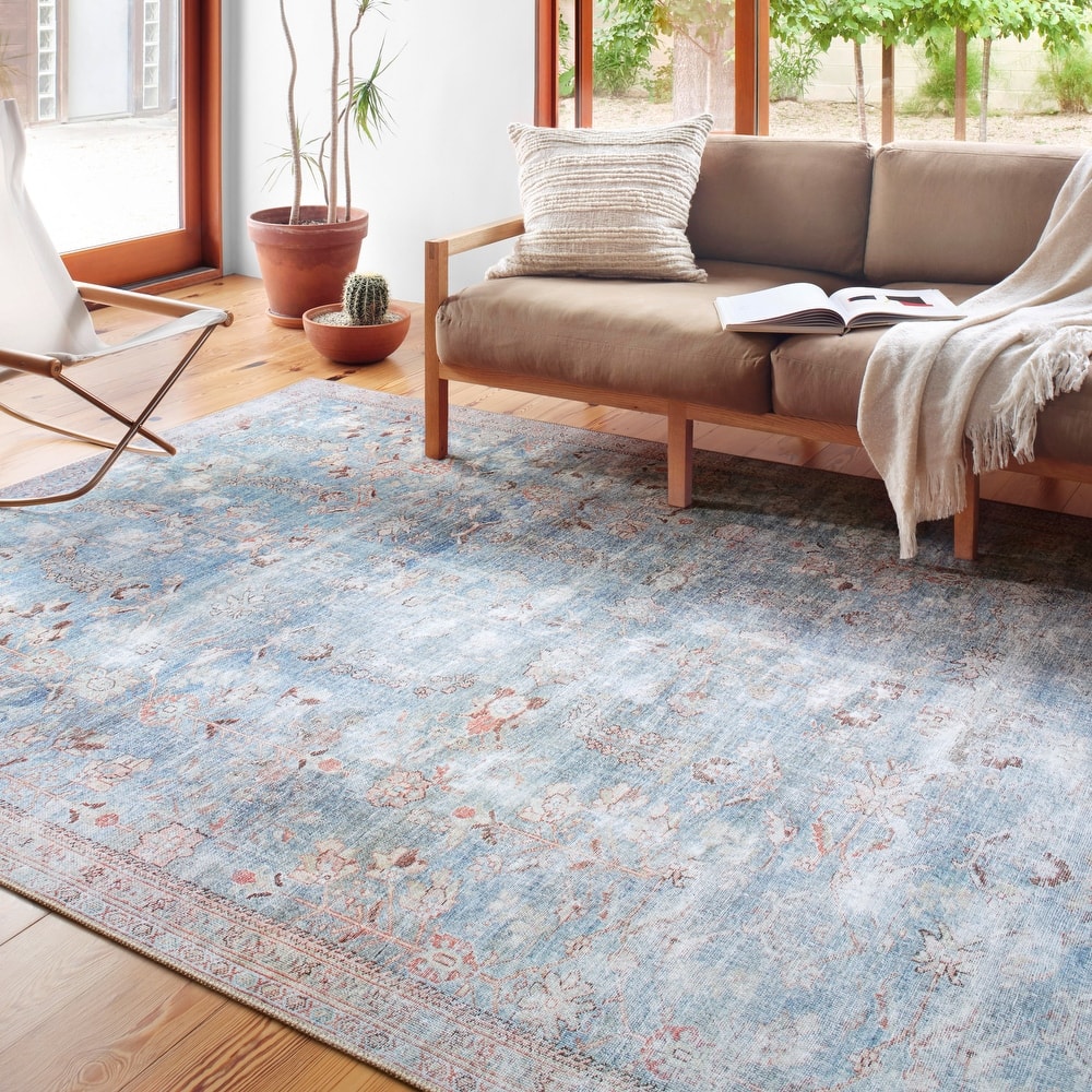 Alexander Home Sophia Printed Shabby Chic Area Rug