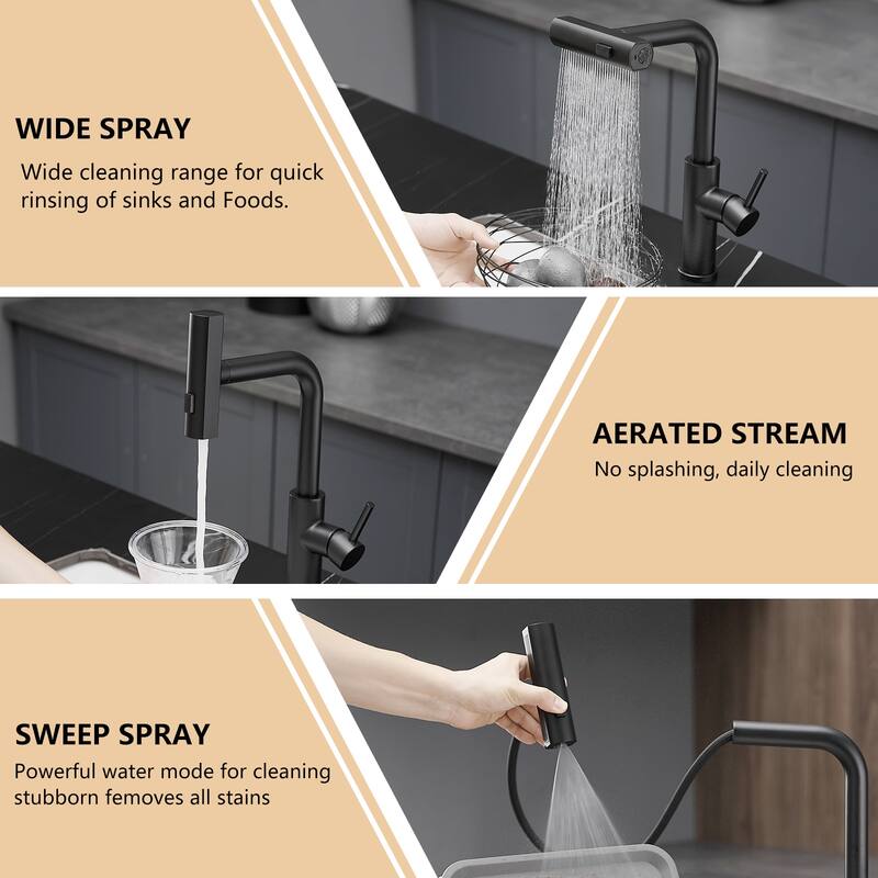 Single-Handle Pull Out Sprayer Kitchen Faucet in Black