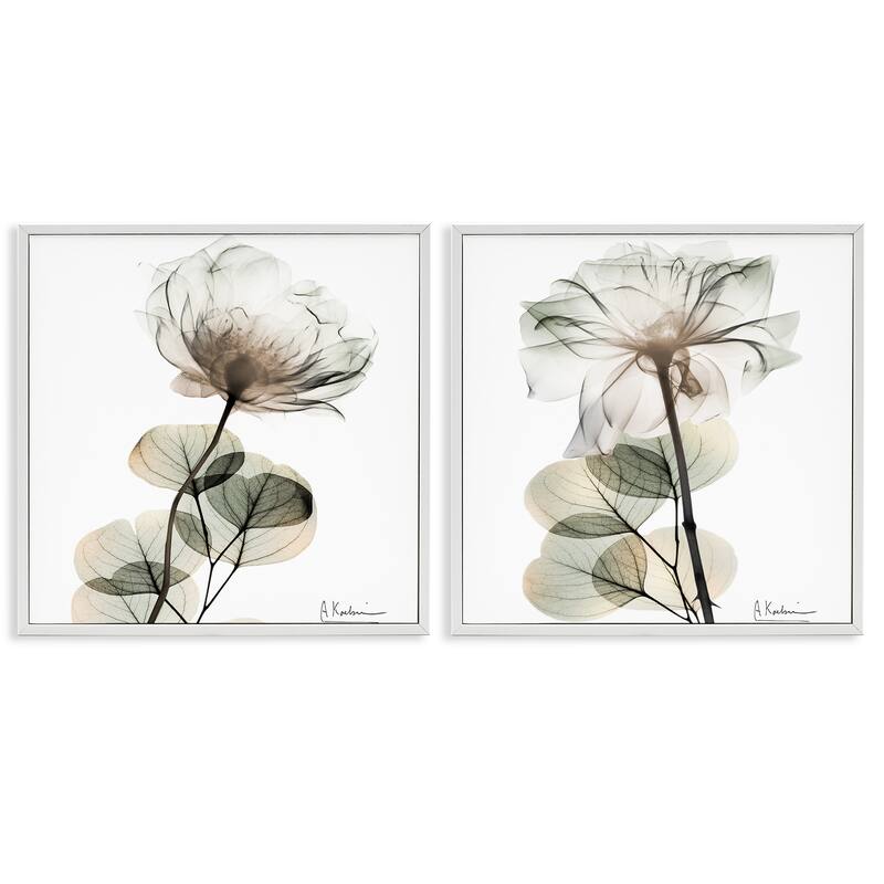 Stupell Cream Transparent Floral Framed Giclee Art Design By Albert Koetsier (Set of 2) - 12 x 12 - White