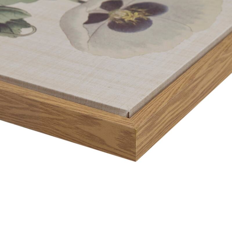 4-piece Botanical Illustration Framed Canvas Wall Art Set - Green