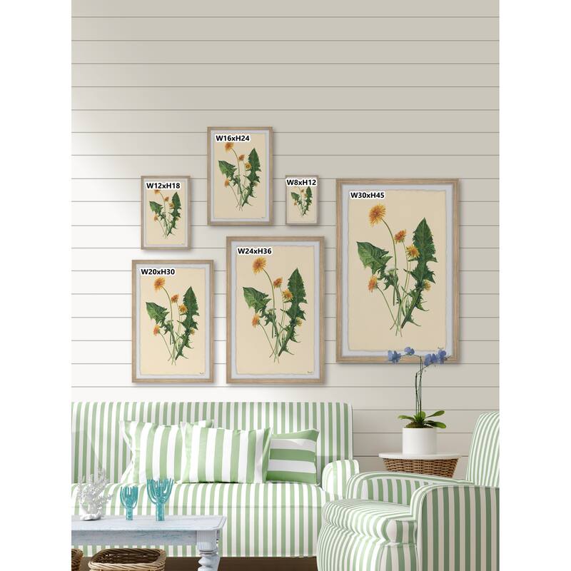 Fresh Dandelions Framed Print