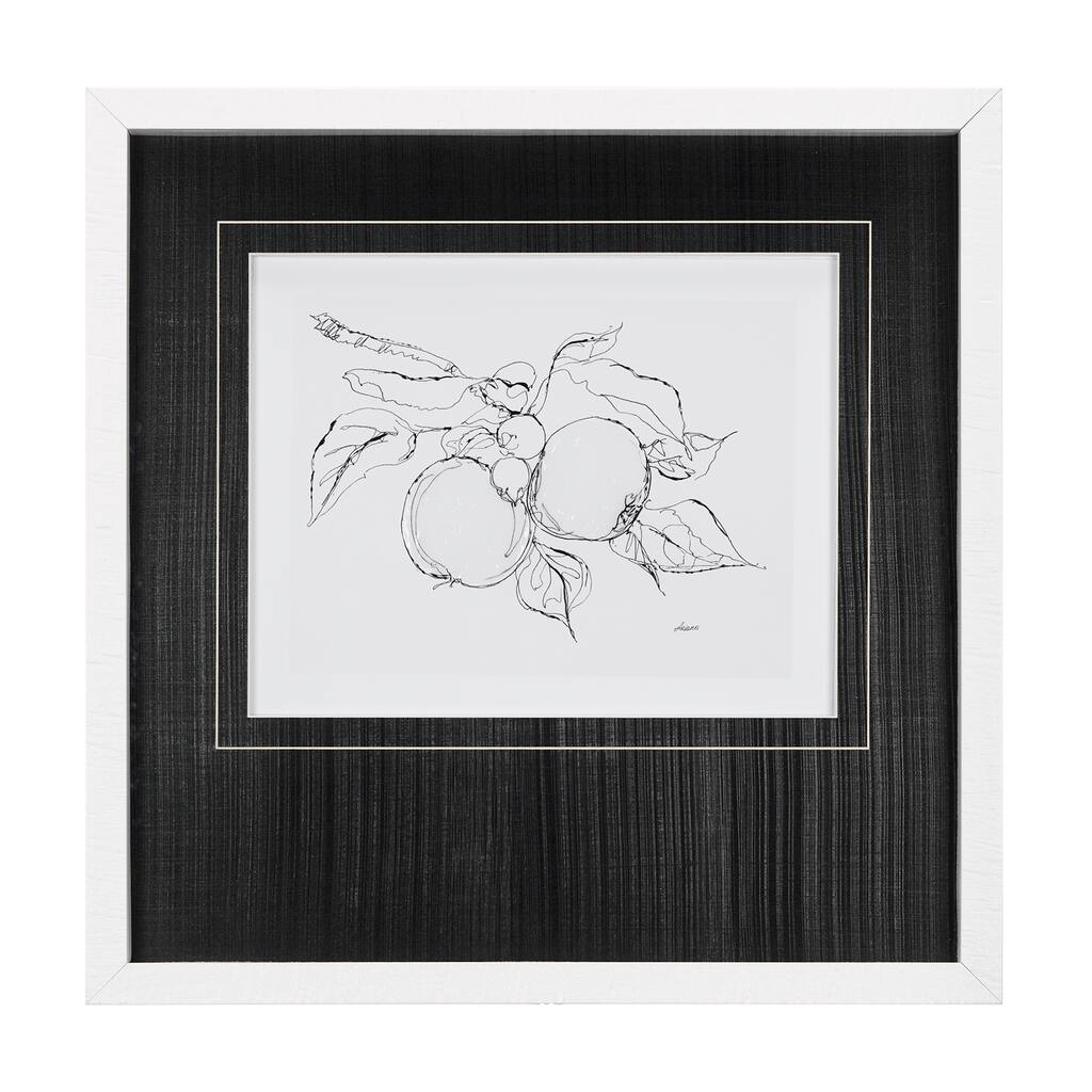 Fruit Sketch Apple Framed Art Print