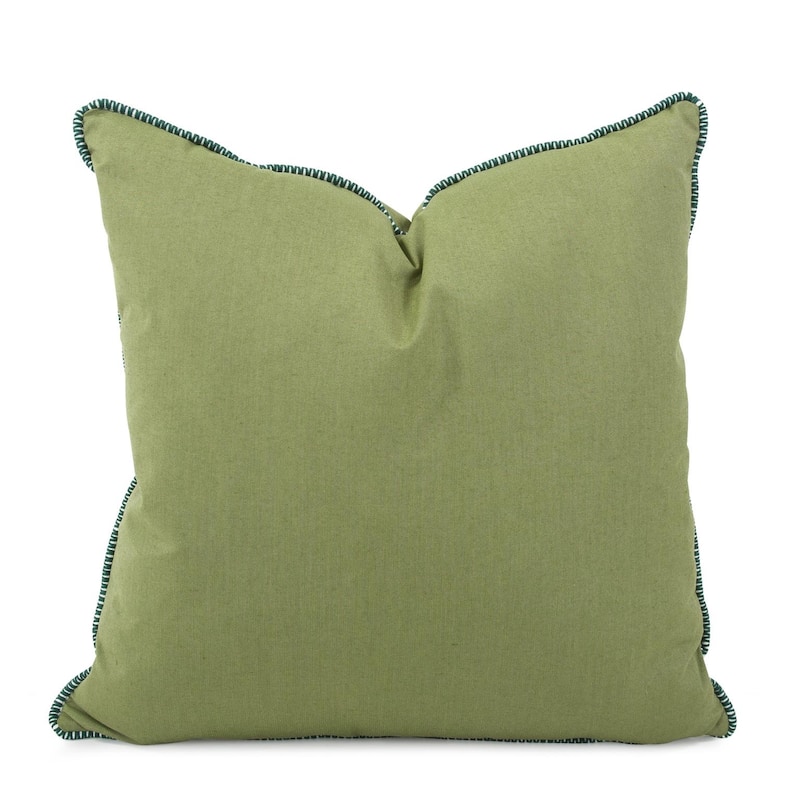 Allan Andrews Indoor/Outdoor 24" Square Accent Pillow with Cover, Seascape Collection - Moss