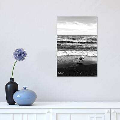 iCanvas "Seagull I" by Donnie Quillen Canvas Print