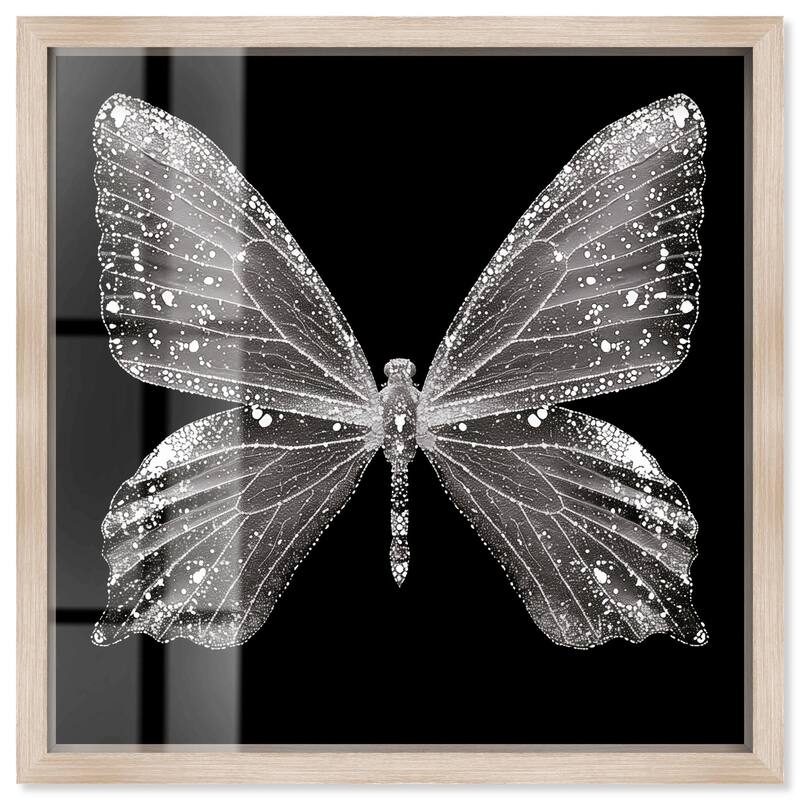 Stardust Wings II Shadowbox by Art Remedy - Natural - 30" x 30"