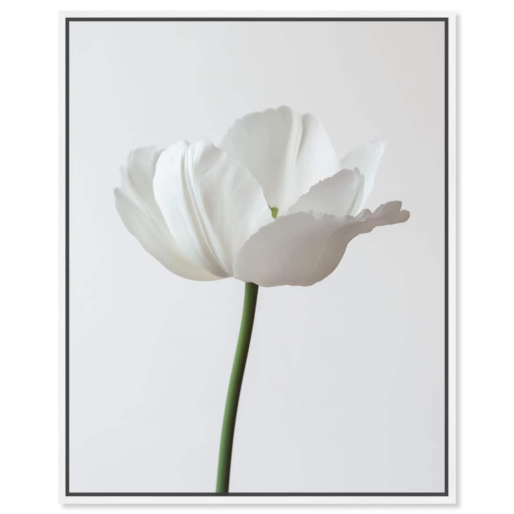 Pearl Floret Canvas by Art Remedy