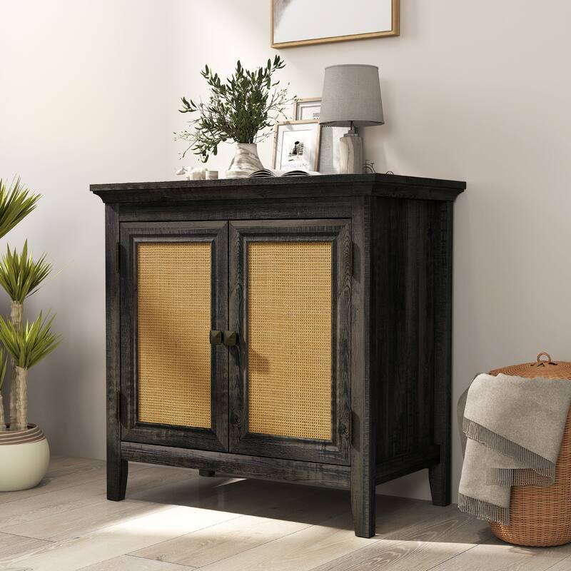 2 Door Rattan Storage Cabinet