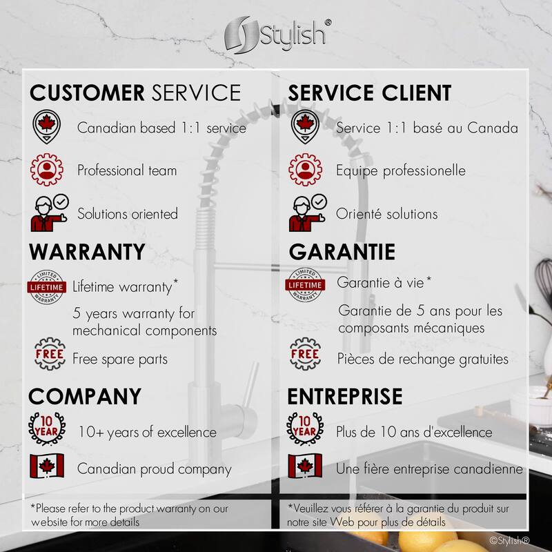 Milano Pull-Down Kitchen Faucet with water filter. Stainless Steel Gold.