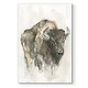preview thumbnail 1 of 8, American Buffalo I -Premium Gallery Wrapped Canvas