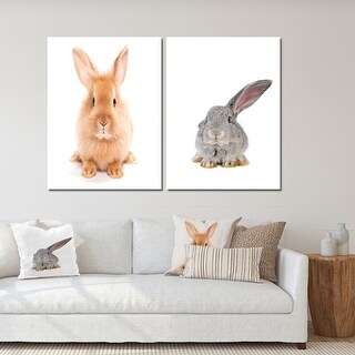 Designart 'Portrait Of A Brown Rabbit' Traditional Art Set of 2 Pieces ...