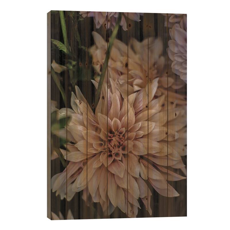 Queen Of The Night Print On Wood by Shot by Clint - Multi-Color - 26x18x1.5