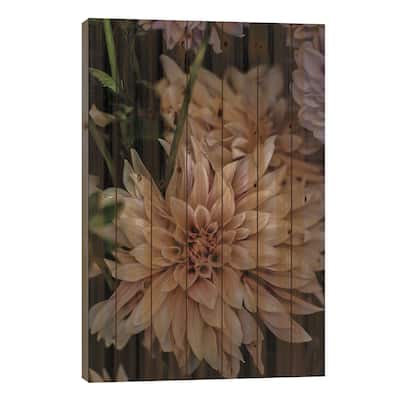 Queen Of The Night Print On Wood by Shot by Clint - Multi-Color