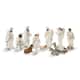 Option Ivory
