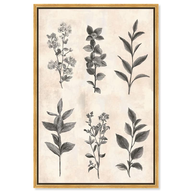 Sepia Stems Canvas by Art Remedy - Gold - 36" x 54"