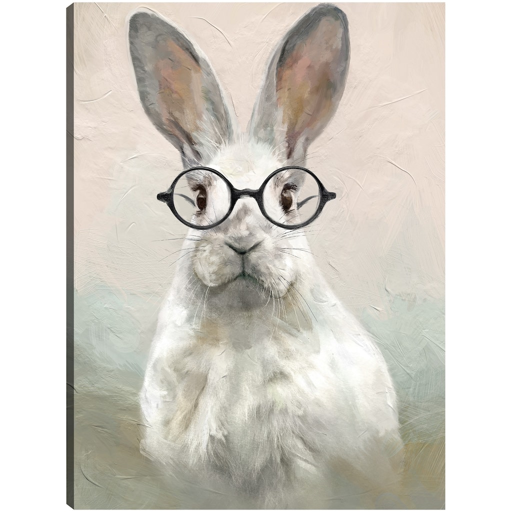 Brainy Bunny By Studio Arts Canvas Art Print