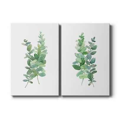 Eucalyptus I Premium Gallery Wrapped Canvas - Ready to Hang