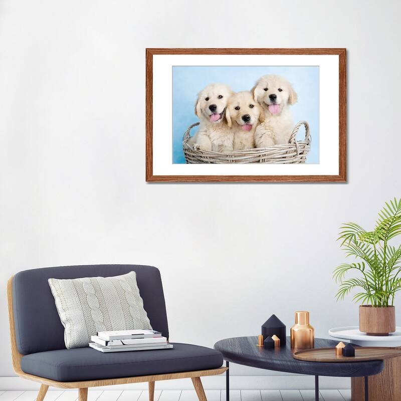 iCanvas "Buffy, Biskit, And Beau" by Rachael Hale