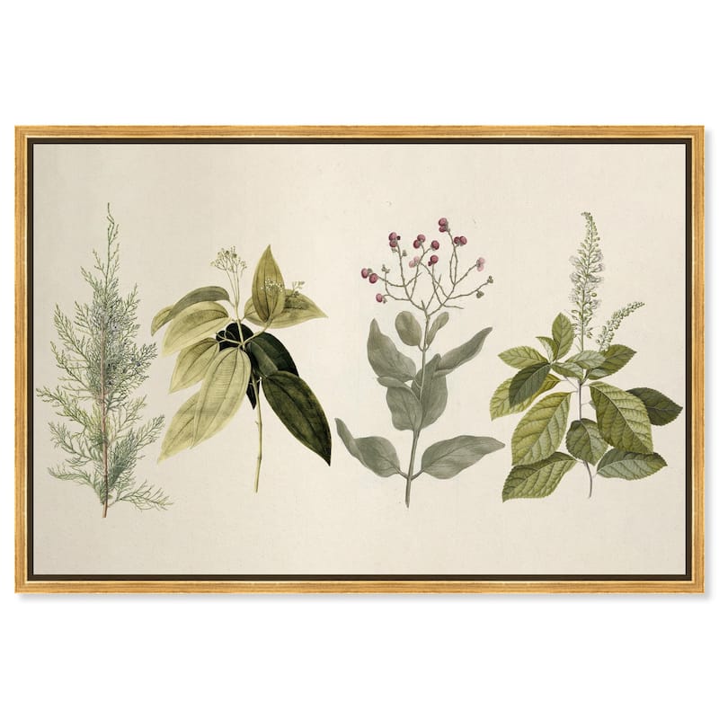 Branch Selection Canvas by Art Remedy - Gold - 45" x 30"