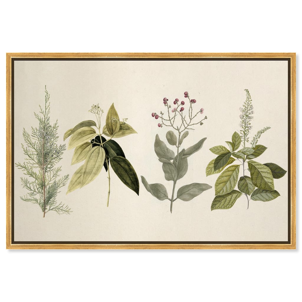 Branch Selection Canvas by Art Remedy