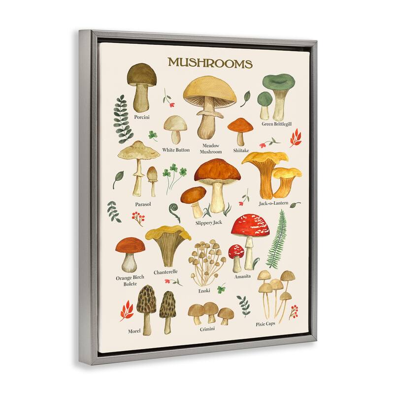 Stupell Foraging Mushrooms Studies Framed Floater Canvas Wall Art Design by Sharon Lee