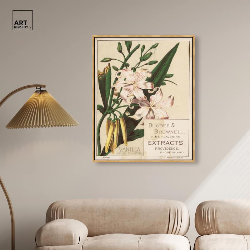 Vanilla Planifolia Canvas by Art Remedy