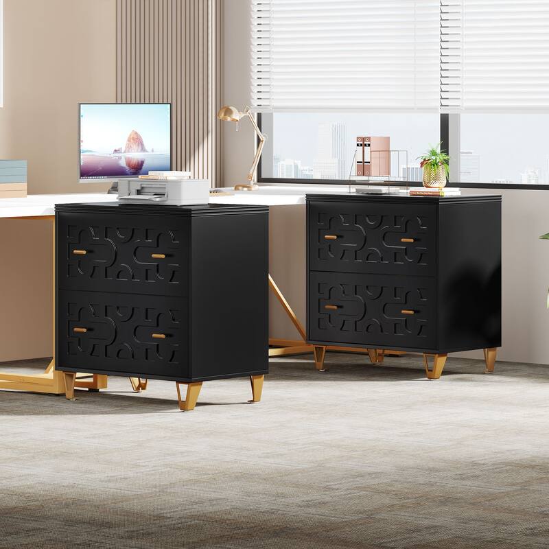 Modern White 2-Drawer File Cabinet, Office Lateral Filing Cabinet for Legal/Letter/A4 Size