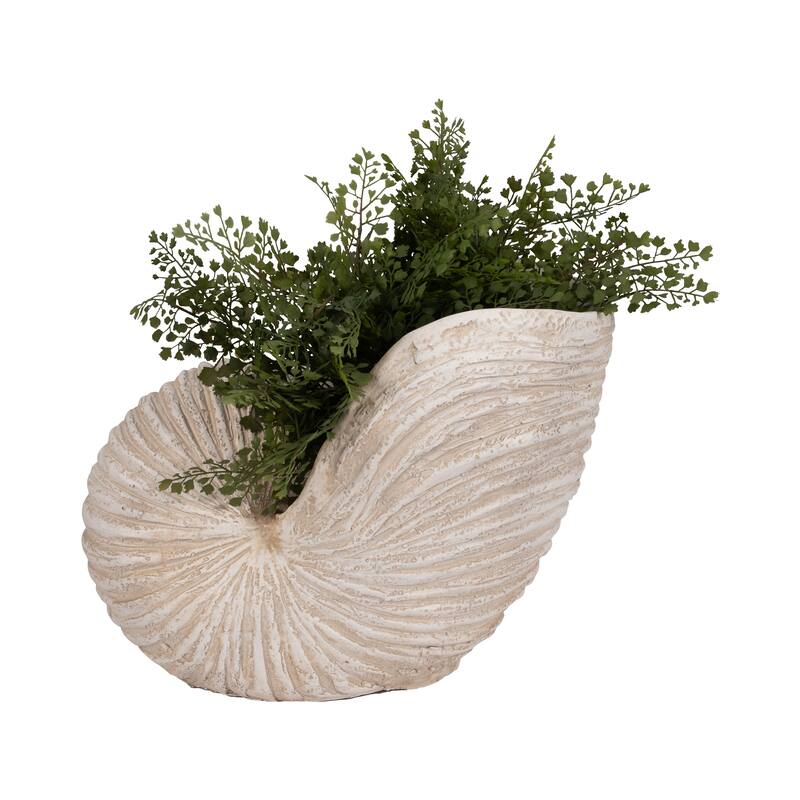 Sagebrook Home Coastal Neutral 18" Ivory Shell Sculpture - 18" x 11" x 13"