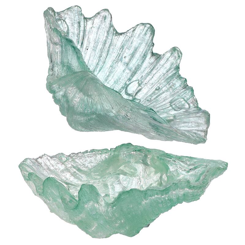 7.5" Clear Resin Open Shell Box of 2