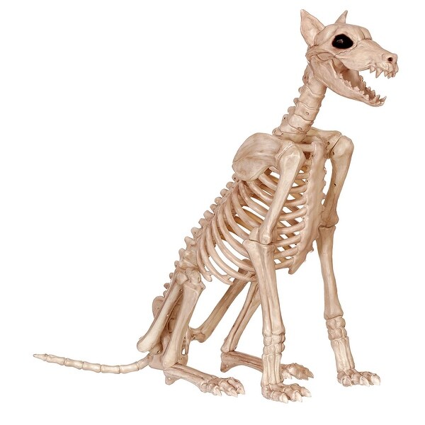 Skeleton Doberman Halloween Decoration