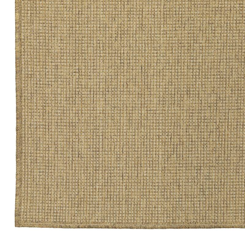 Style Haven Veranda Solid Tan Indoor-Outdoor Area Rug