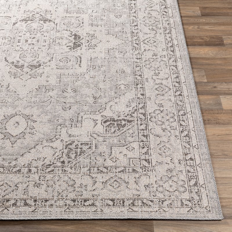 Ronald Indoor / Outdoor Medallion Area Rug