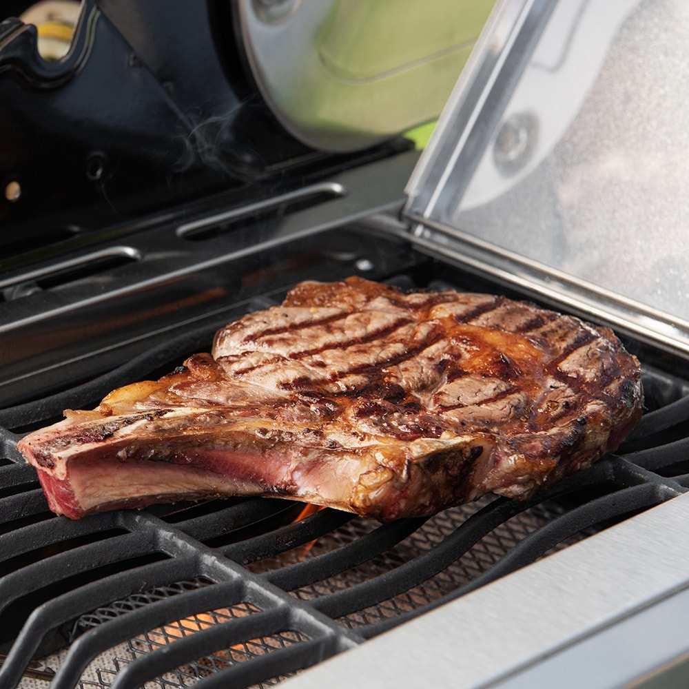 Nexgrill deluxe dual energy store