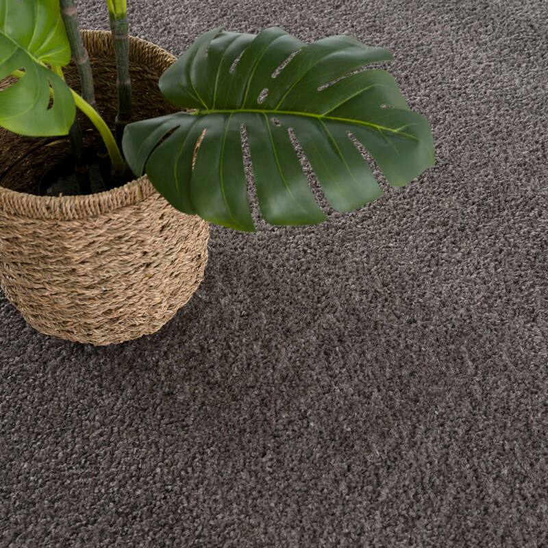 Judy Area Rug