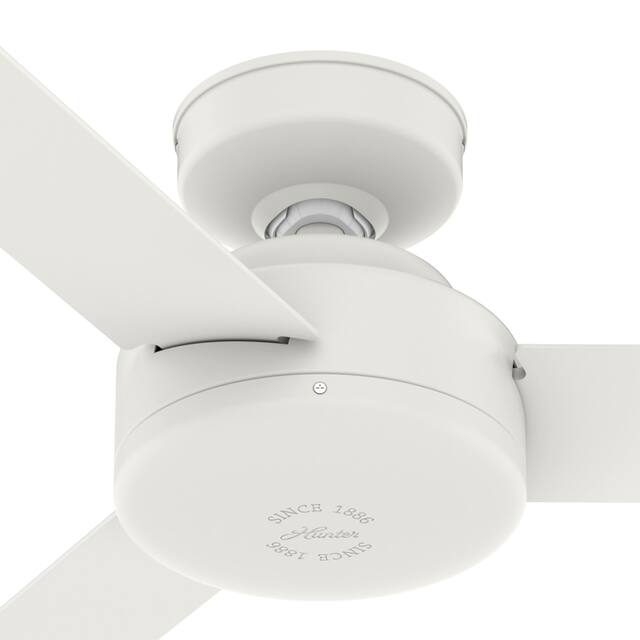 Hunter 52" and 44" Presto Ceiling Fan with Wall Control
