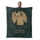 preview thumbnail 20 of 118, Universal How to Train Your Dragon Silk Touch Throw Blanket