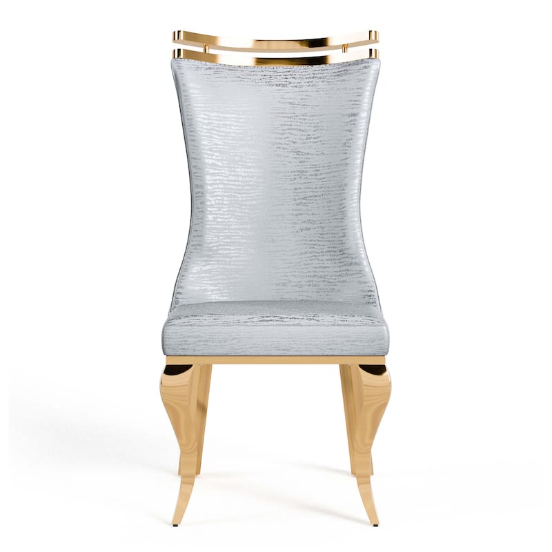 Furniture of America Thaddeus Glam Stainless Steel Upholstered Dining Side Chair (Set of 2)