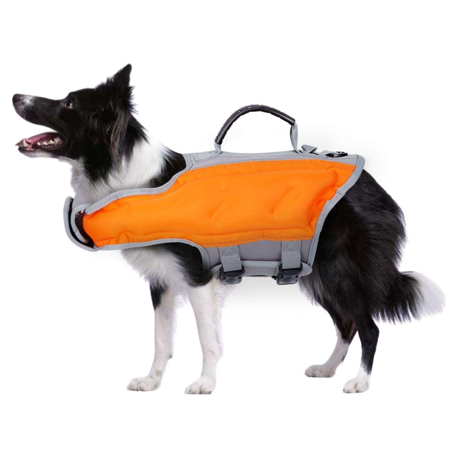 Inflatable dog life jacket cheap