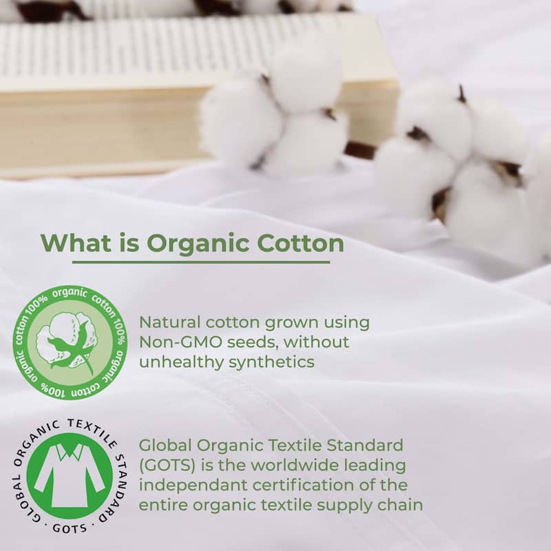 Superior Gina Organic Cotton Extra Deep Bed Sheet Set