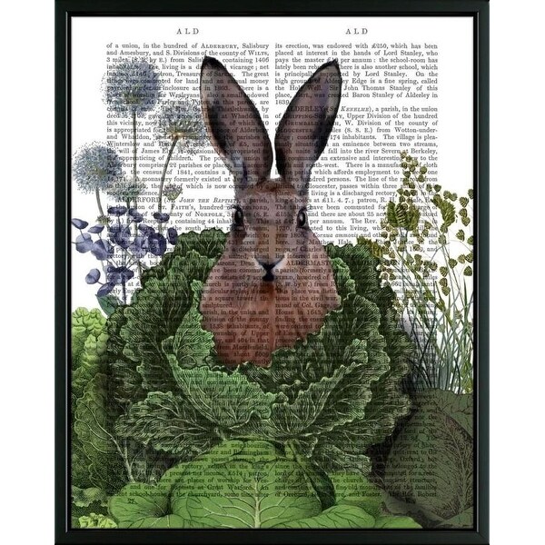 cabbage patch rabbit
