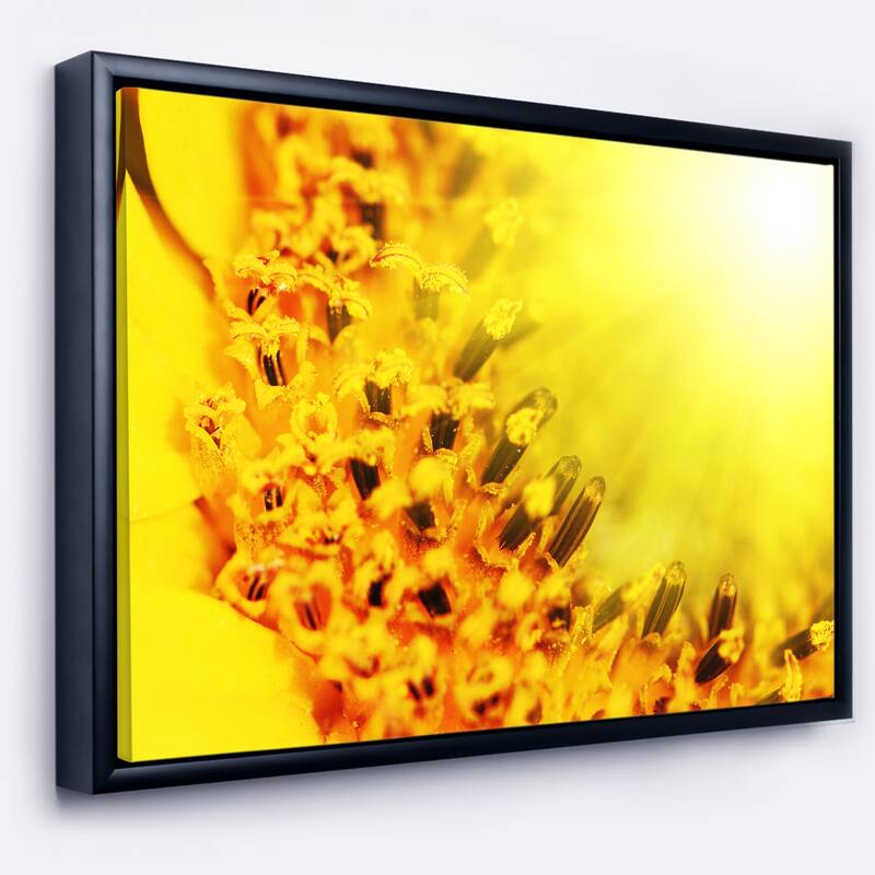 Designart "Bright Yellow Sunflower Close Up" Floral Framed Canvas Art