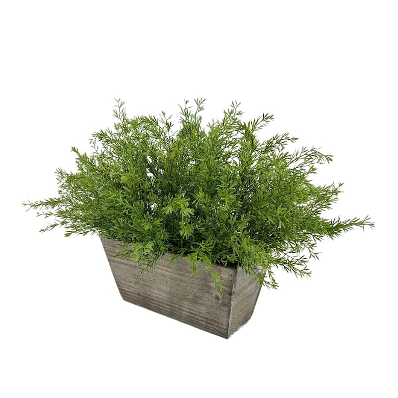 Faux Asparagus Fern in Wood Mini Ledge Planter - Grey-Washed