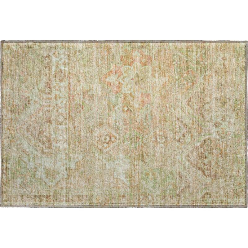 Premium Washable Super Soft Boho Global Mayfield Rug