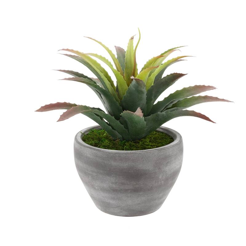Faux Star Succulent in Grey-Washed Ceramic Vase