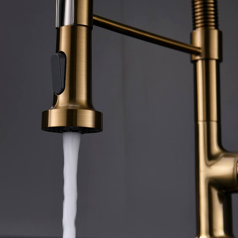 Gold Kitchen Faucet with Pull Down Sprayer