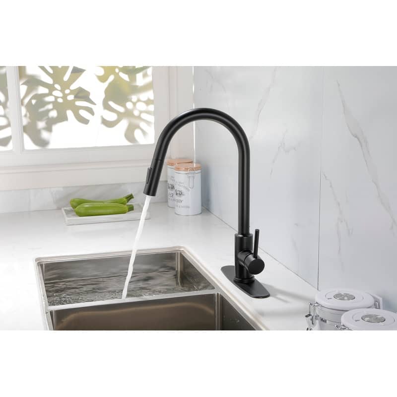 Kitchen Faucet with Pull Down Sprayer