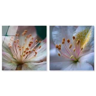 Tranquility Botanical Farm Art Set of 2 Acrylic Print by Art Remedy