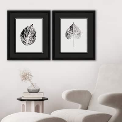 Paragon Black Print Leaf I Framed Art - Set of 2