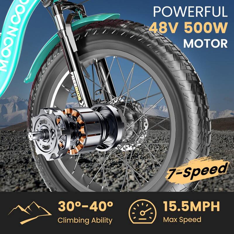 DoCred 20"x4" Fat Tire Electric Tricycle, 48V 500W with 7 Speed Ebike